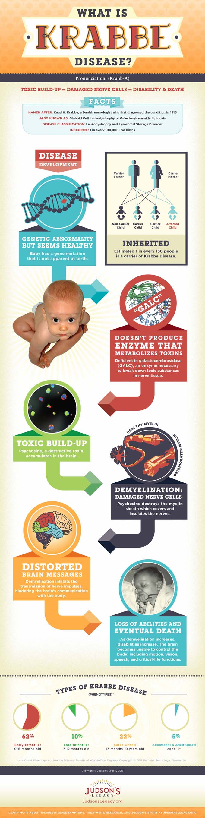 What is Krabbe Disease? Krabbe disease (pronounced Krahb-A), also known as Globoid Cell Leukodystrophy, is a rare, genetic, currently-incurable and ultimately fatal disorder. Krabbe Disease is one of several known leukodystrophies: genetic diseases that progressively destroy the white matter of the brain. In Krabbe disease, the enzyme galactocerebrosidase (GALC), which is essential for metabolizing several important compounds in the body, is deficient. Therefore, psychosine, a toxic substance which should be broken down and naturally released from the body starts to accumulate. This toxic build-up damages the central nervous system, particularly destroying the myelin sheath, which insulates the nerves. The destruction of the myelin sheath, called demyelination, impedes the conduction of nerve signals from the brain to the rest of the body. As the myelin degrades, it causes severe physical disabilities.