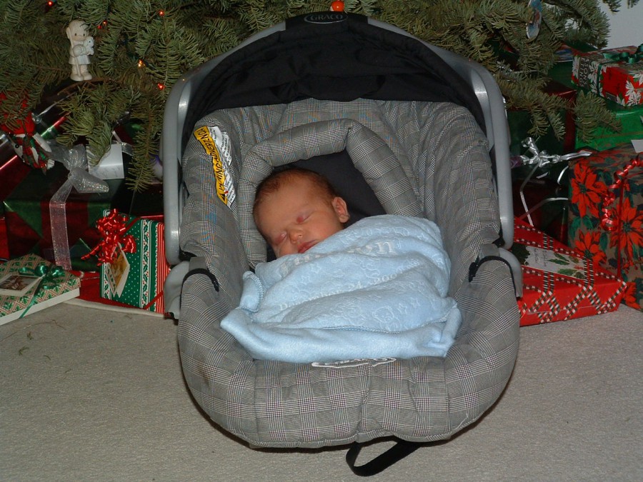 Judson Under the Christmas Tree
