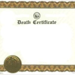 The Certificate
