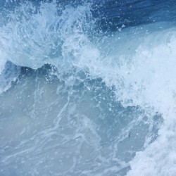 The Rip Tide