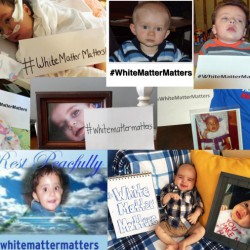 The Campaign Continues The Campaign Continues